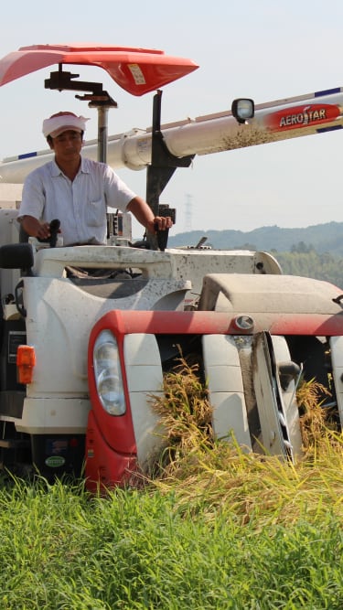 【イメージ】石川商店について