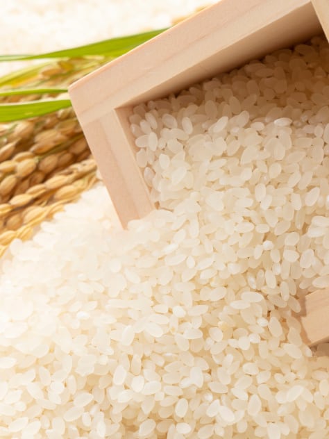 【イメージ】白米