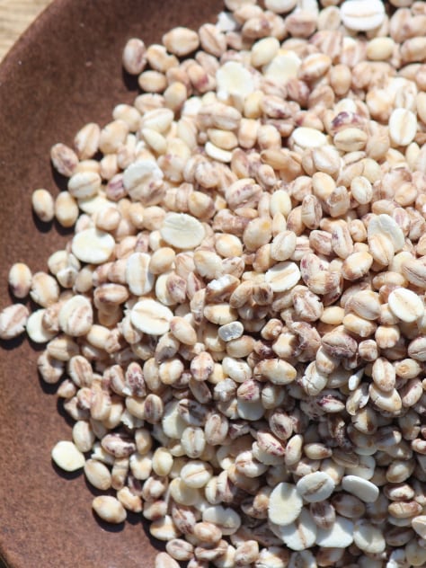 【イメージ】雑穀