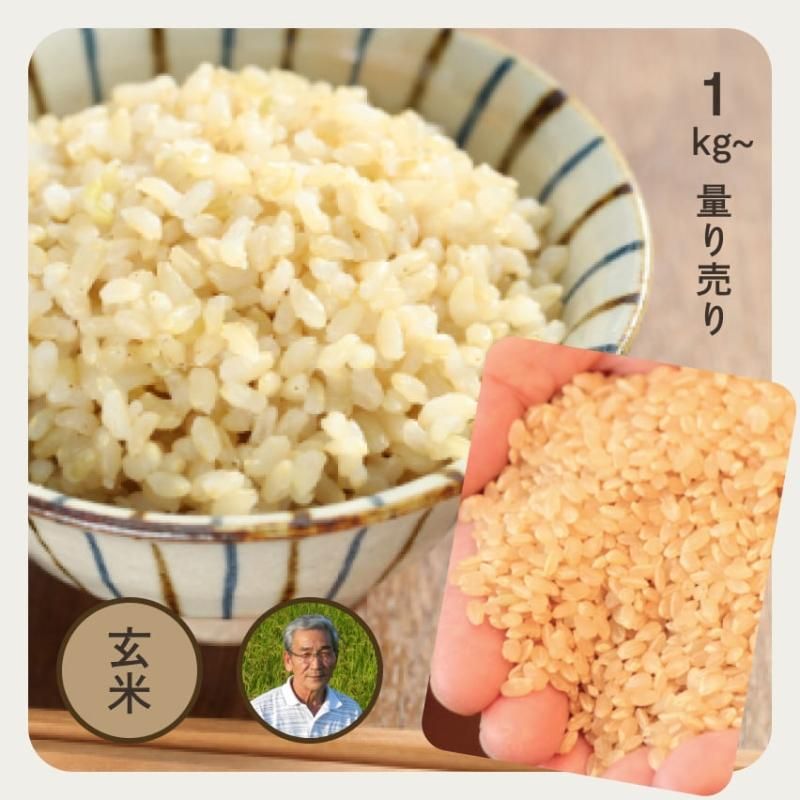 山形 復刻ささにしき 玄米